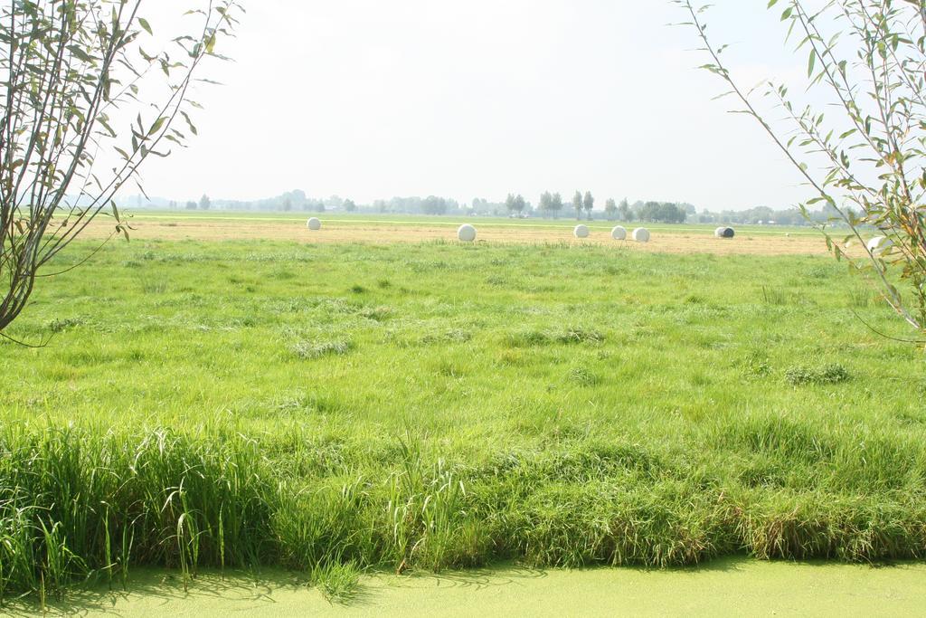 Camping De Grienduil Nieuwland  Exteriör bild
